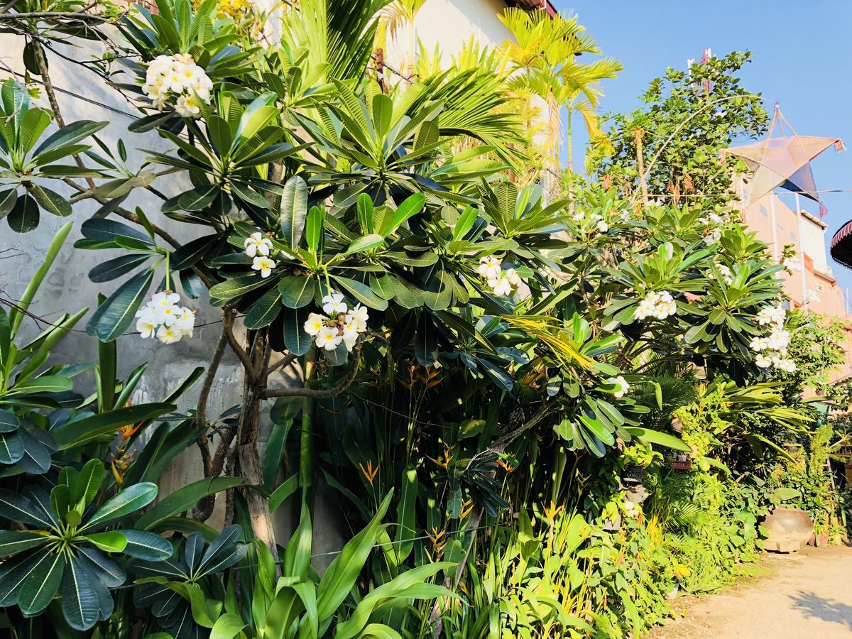 Sophat Villa Siem Reap Buitenkant foto